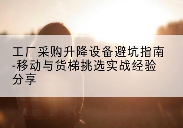 定边移动式升降机怎么选-工厂采购升降设备避坑指南-移动与货梯挑选实战经验分享
