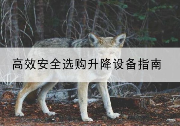 定边升降货梯厂家推荐-*安全选购升降设备指南