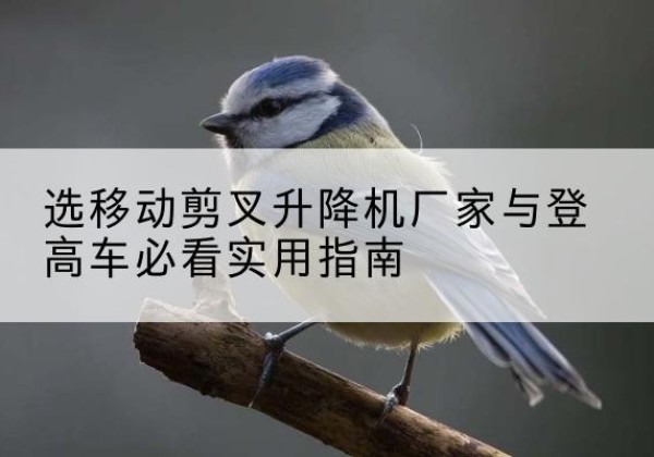 定边电动升降机厂家-选移动剪叉升降机厂家与登高车必看实用指南