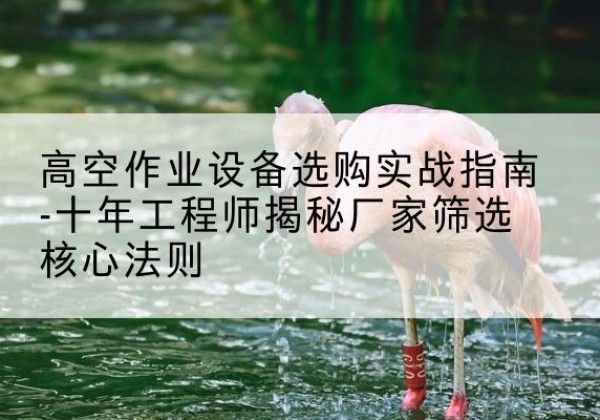 定边剪叉式升降机厂家-高空作业设备选购实战指南-十年工程师揭秘厂家筛选核心法则